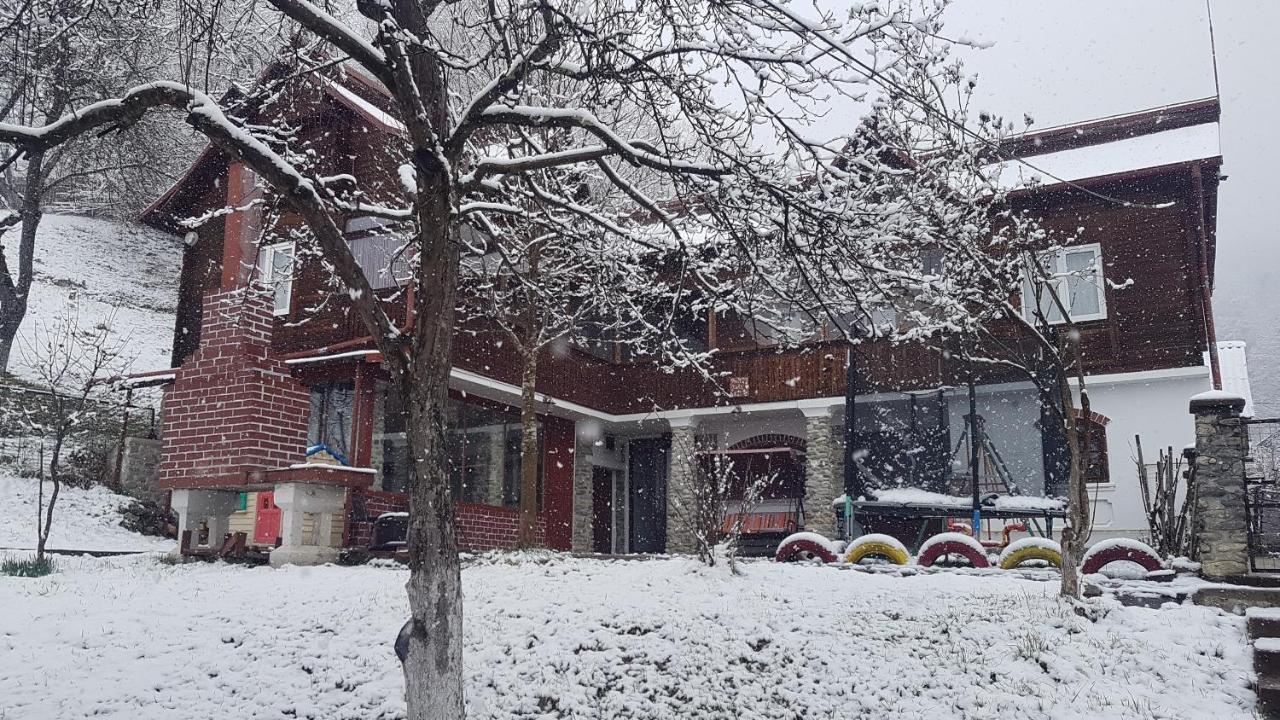 Casa Colt De Rai Villa Brezoi Dış mekan fotoğraf