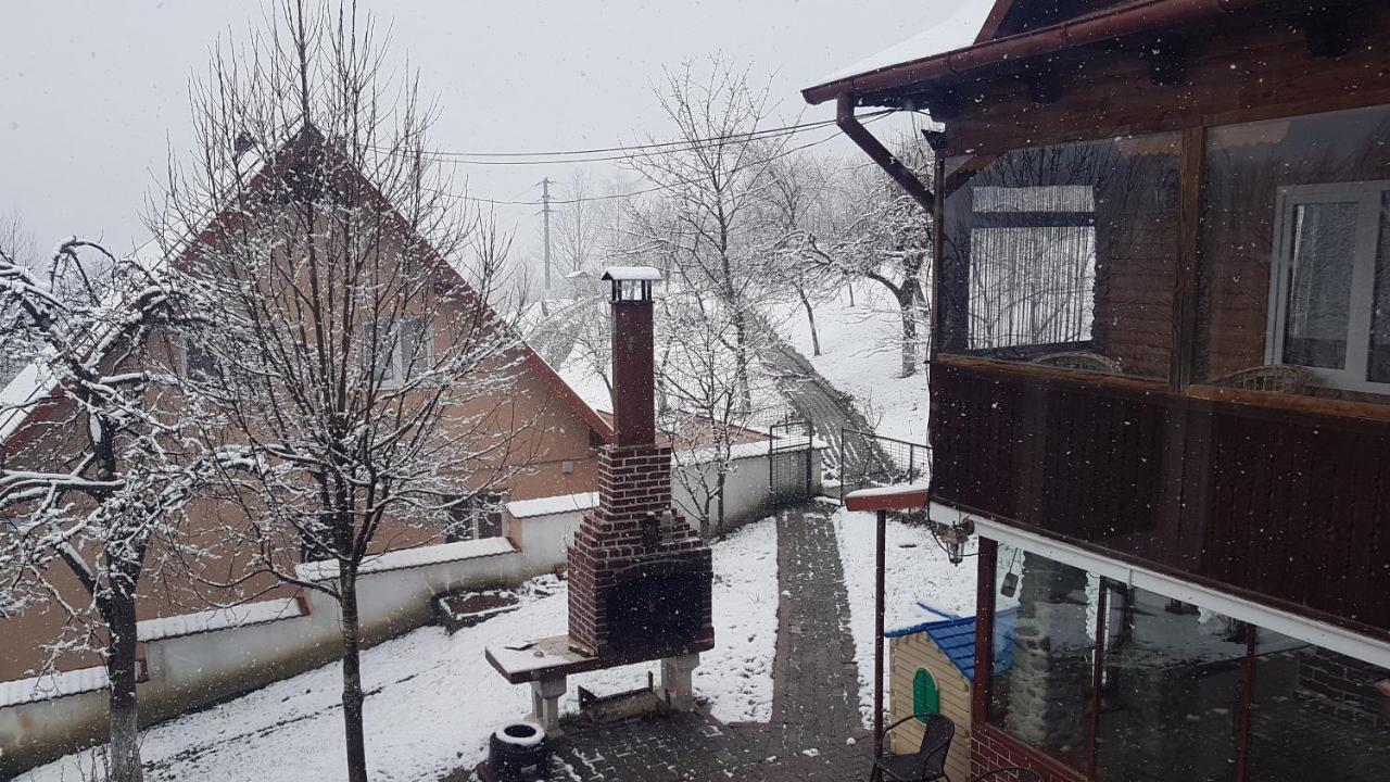 Casa Colt De Rai Villa Brezoi Dış mekan fotoğraf
