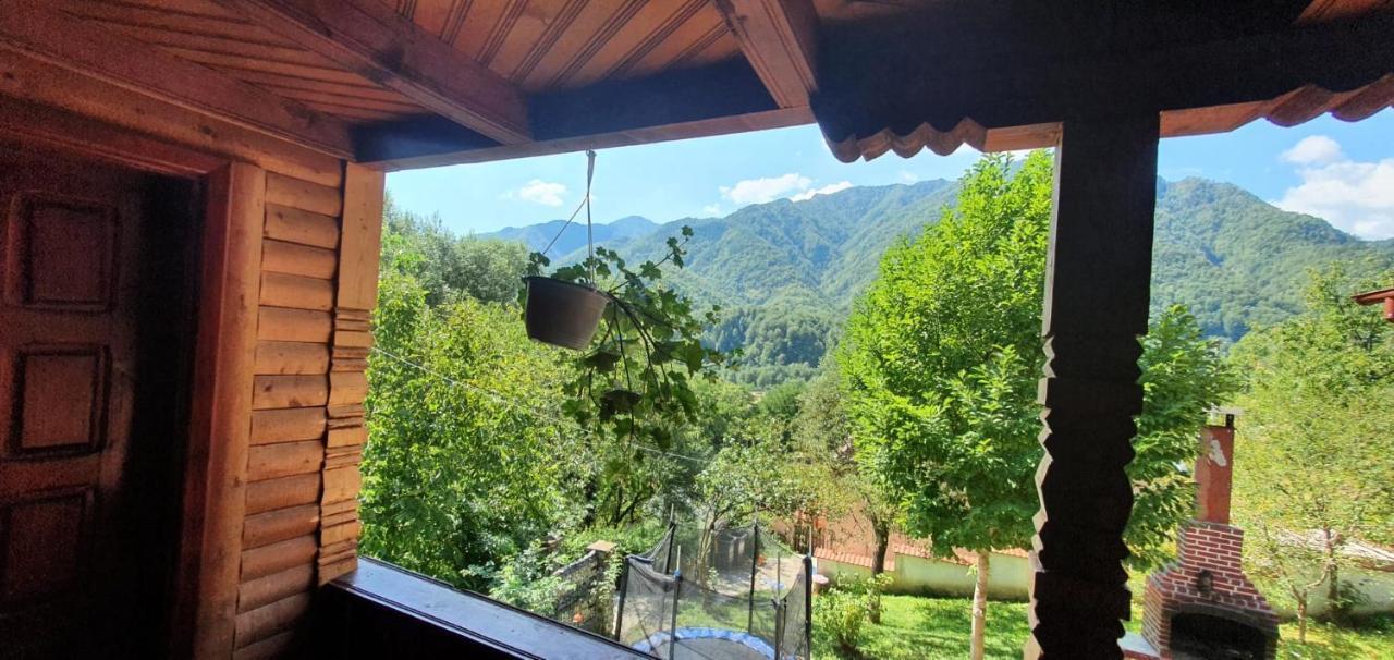 Casa Colt De Rai Villa Brezoi Dış mekan fotoğraf