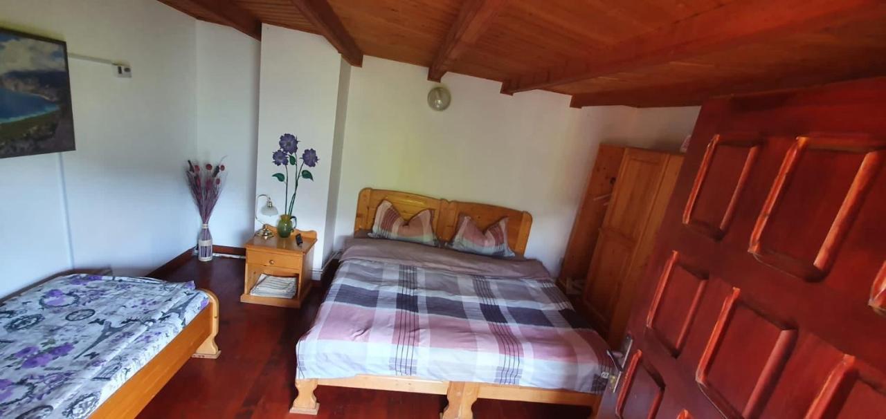 Casa Colt De Rai Villa Brezoi Dış mekan fotoğraf