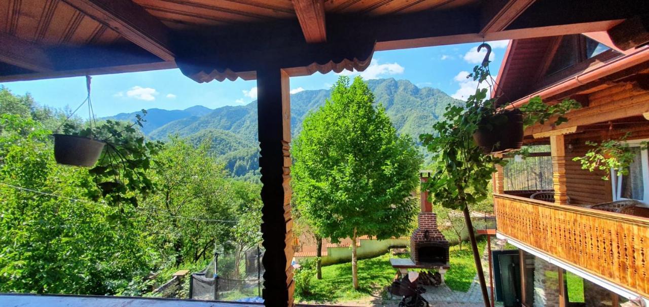 Casa Colt De Rai Villa Brezoi Dış mekan fotoğraf
