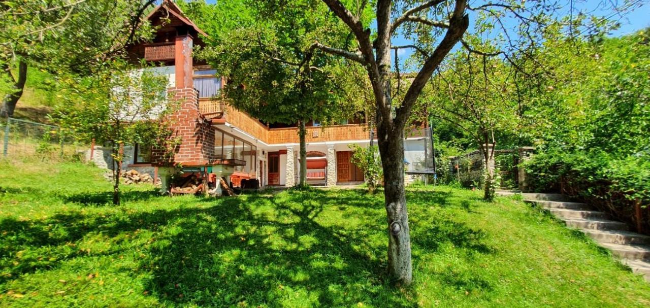 Casa Colt De Rai Villa Brezoi Dış mekan fotoğraf