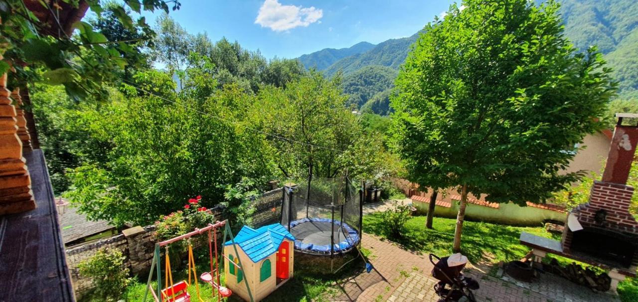 Casa Colt De Rai Villa Brezoi Dış mekan fotoğraf