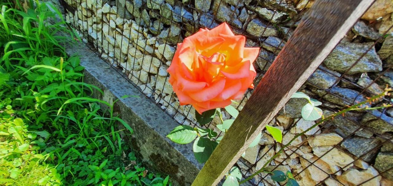 Casa Colt De Rai Villa Brezoi Dış mekan fotoğraf
