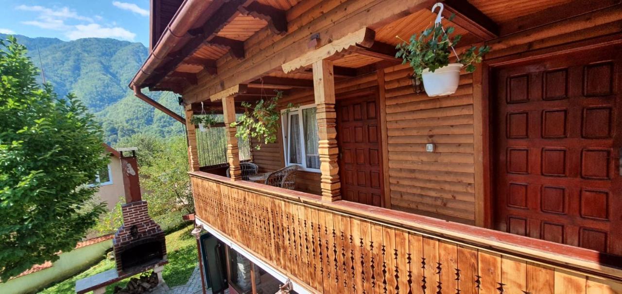 Casa Colt De Rai Villa Brezoi Dış mekan fotoğraf