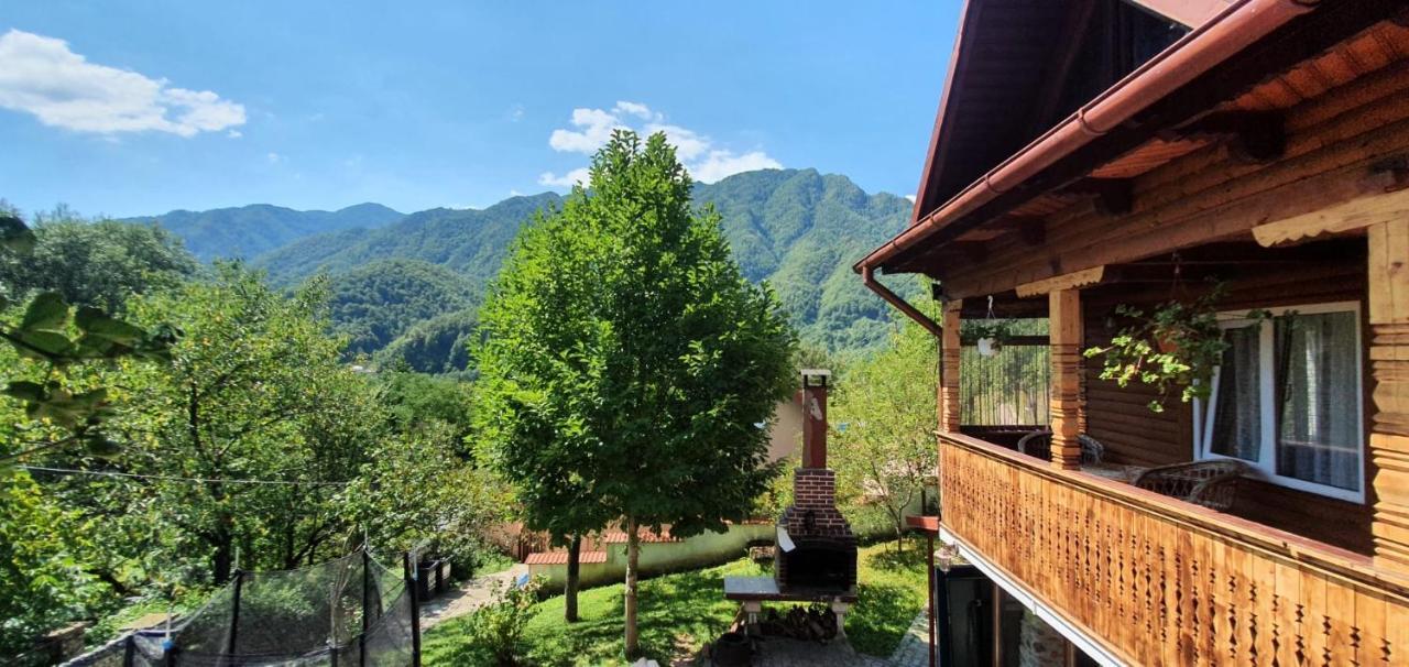 Casa Colt De Rai Villa Brezoi Dış mekan fotoğraf