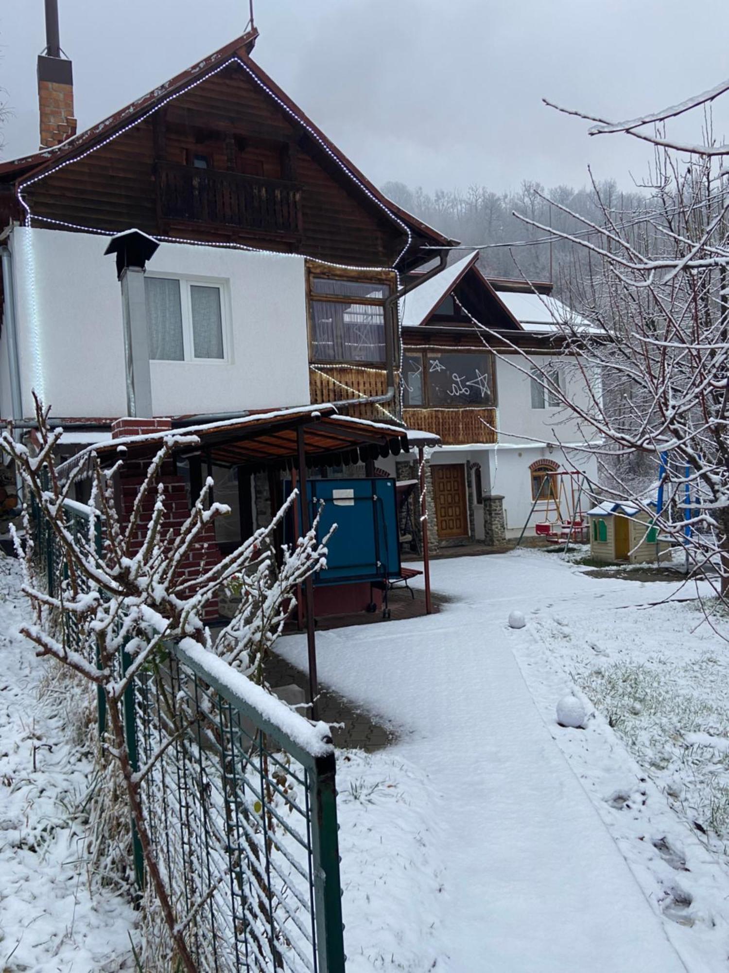 Casa Colt De Rai Villa Brezoi Dış mekan fotoğraf