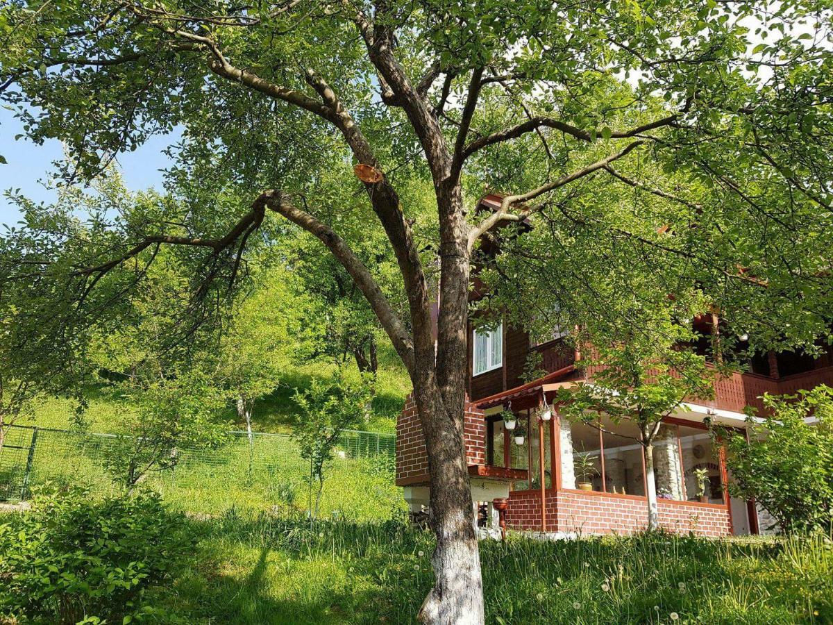 Casa Colt De Rai Villa Brezoi Dış mekan fotoğraf