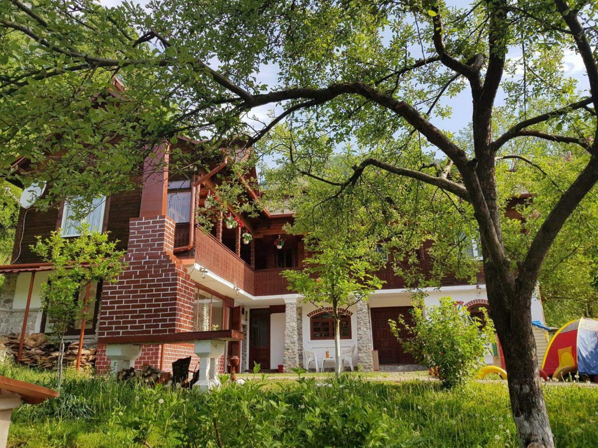 Casa Colt De Rai Villa Brezoi Dış mekan fotoğraf