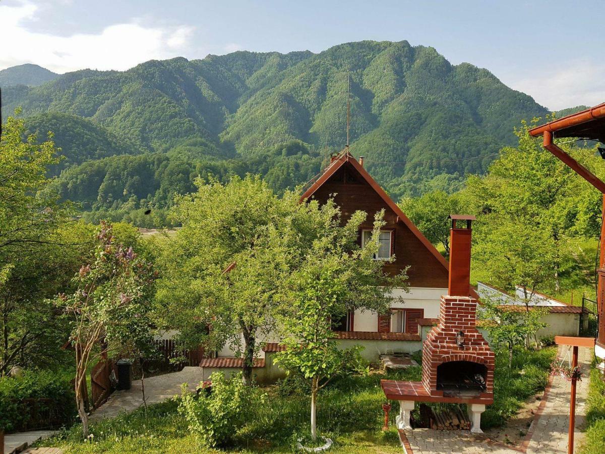 Casa Colt De Rai Villa Brezoi Dış mekan fotoğraf