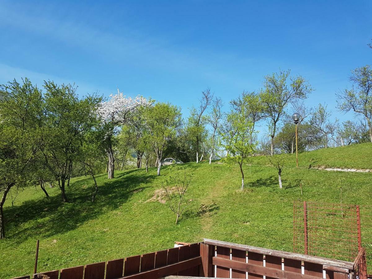 Casa Colt De Rai Villa Brezoi Dış mekan fotoğraf